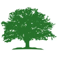 Flat Branch Home Loans